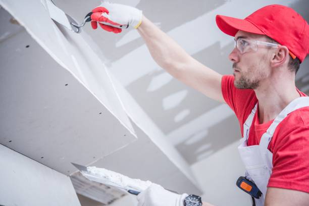 Best Ceiling Drywall Installation  in Arcola, IL